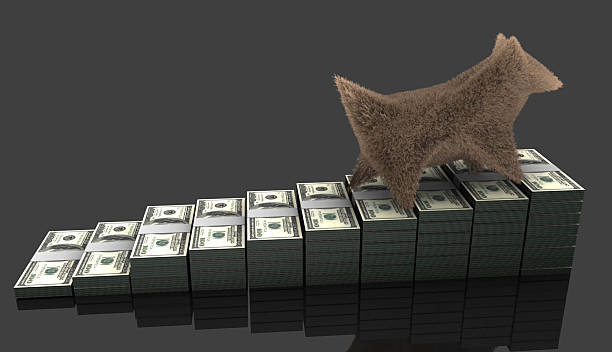 밤놀자는 어떤 기준으로 정보를 정리하고 보여주는가