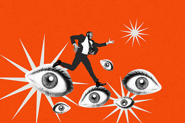 밤놀자 정보는 어떤 기준으로 분류되고 정리되는가