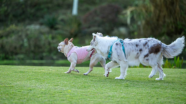 밤놀자 정보를 탐색할 때 이해해야 하는 기본 이용 흐름